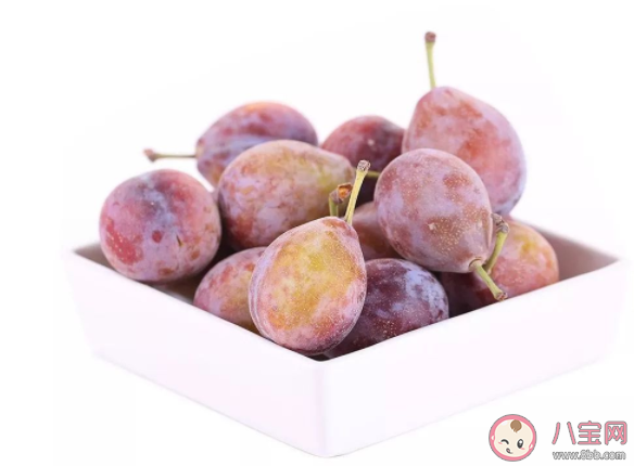 西梅吃多了拉肚子怎么回事 西梅一天吃多少合適 西梅吃多了拉肚子怎么回事 西梅一天吃多少合適