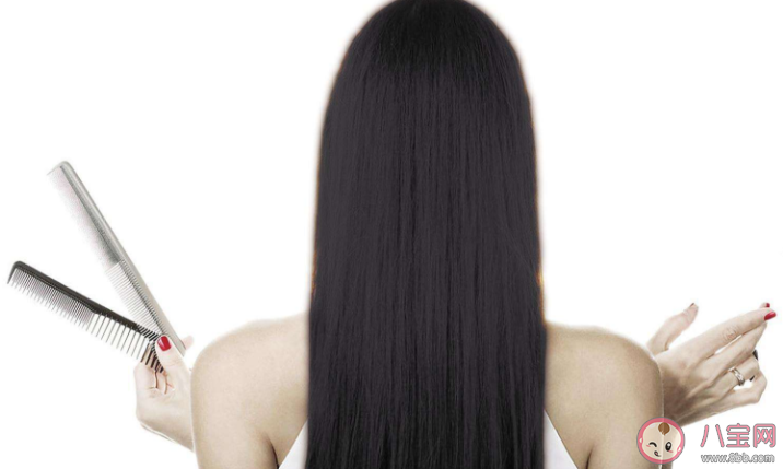 想要植發需要滿足哪些條件 植發手術前要注意的事項 想要植發需要滿足哪些條件 植發手術前要注意的事項