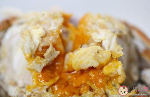 死蟹到底能不能吃 公蟹和母蟹怎么區(qū)分 死蟹到底能不能吃 公蟹和母蟹怎么區(qū)分