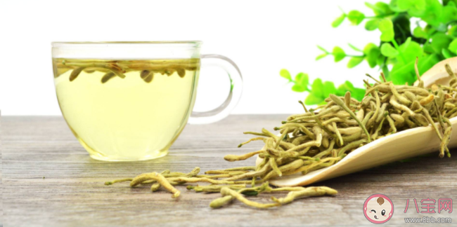 金銀花能和菊花一起泡水喝嗎 金銀花和菊花一起泡水喝有什么功效 金銀花能和菊花一起泡水喝嗎 金銀花和菊花一起泡水喝有什么功效