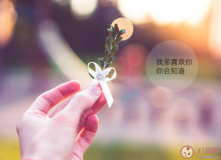 跟不喜歡的人談戀愛是啥體驗 為什么會和不喜歡的人戀愛