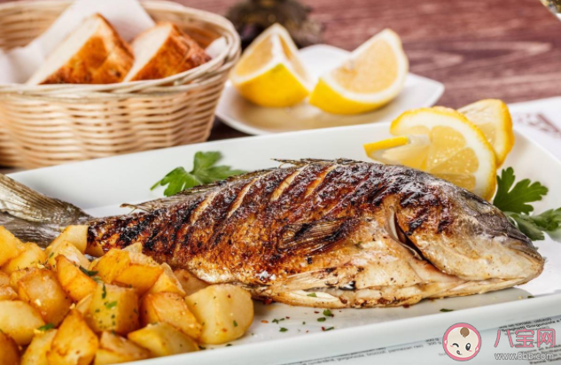 吃魚眼能明目嗎 吃魚能預防心血管病嗎