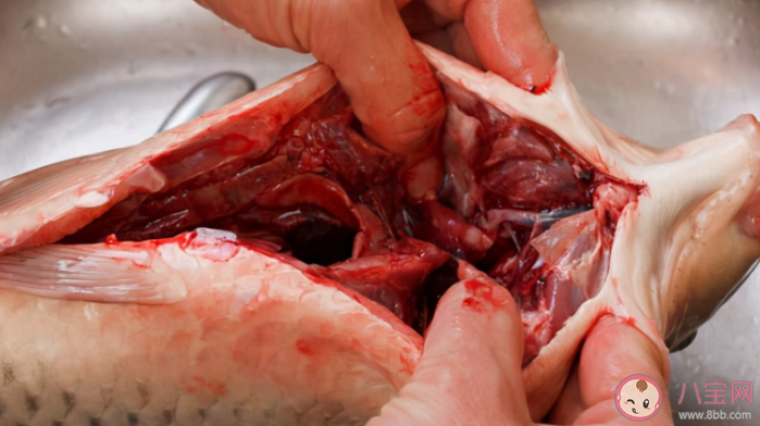 吃魚膽能去火嗎 吃魚膽中毒怎么辦