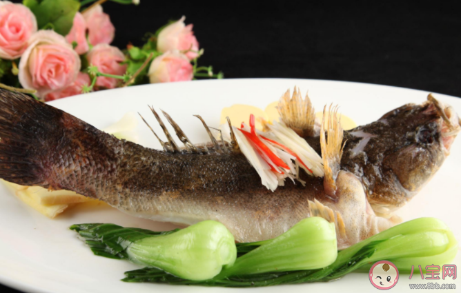 吃魚膽能去火嗎 吃魚膽中毒怎么辦