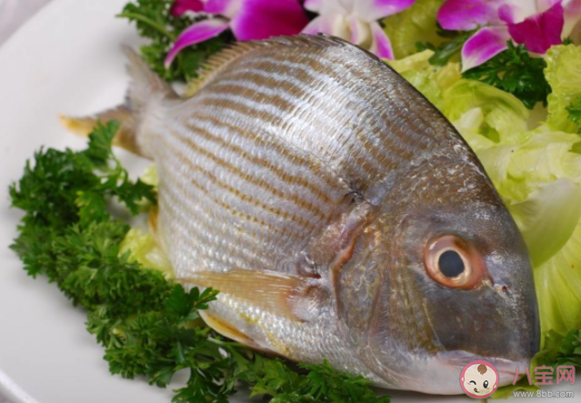 魚膽為什么會有毒 魚膽中毒有什么癥狀