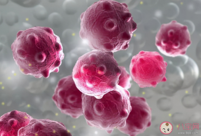 尖銳濕疣冷凍復(fù)發(fā)的概率高嗎 怎么判斷是不是尖銳濕疣 尖銳濕疣冷凍復(fù)發(fā)的概率高嗎 怎么判斷是不是尖銳濕疣