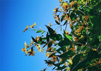 表達欲和分享欲太強需要克制嗎 分享欲太強了該怎么辦