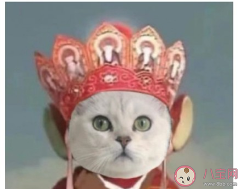 刪好友前有必要提前告知嗎 你會因?yàn)槭裁磩h除好友