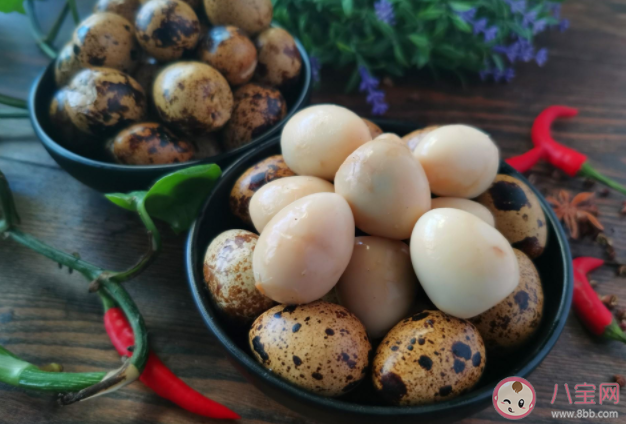 雞蛋/鴨蛋/鵪鶉蛋營養上有什么區別 為什么鴨蛋/鵝蛋/鵪鶉蛋價格更貴 雞蛋/鴨蛋/鵪鶉蛋營養上有什么區別 為什么鴨蛋/鵝蛋/鵪鶉蛋價格更貴