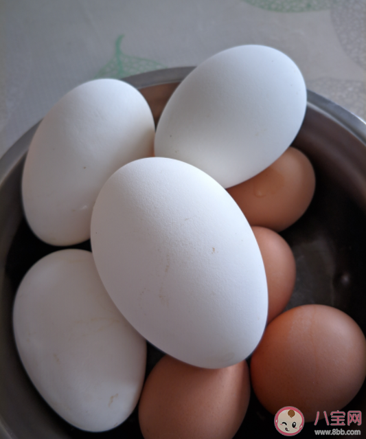 經常吃鵝蛋有什么營養 哪些人不建議吃鵝蛋