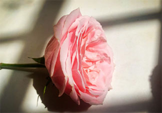 九月最后一個工作日的心情說說 九月最后一天上班的文案句子