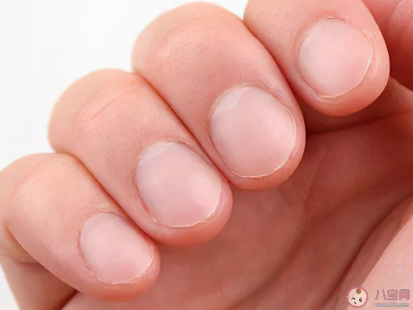 指甲上的白月牙是什么 指甲沒有月牙是身體不好的象征嗎