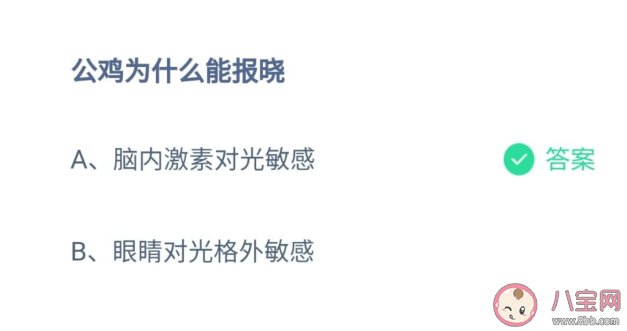 公雞為什么能報曉 螞蟻莊園10月9日答案解析