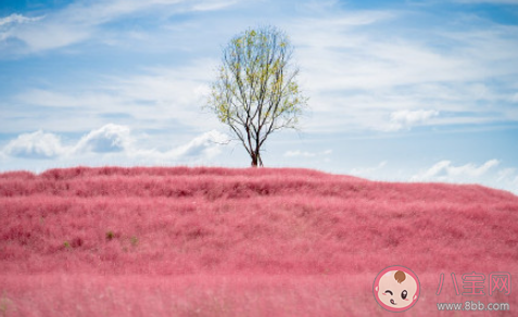 什么時候需要有危機意識 如何培養適當的危機意識 什么時候需要有危機意識 如何培養適當的危機意識