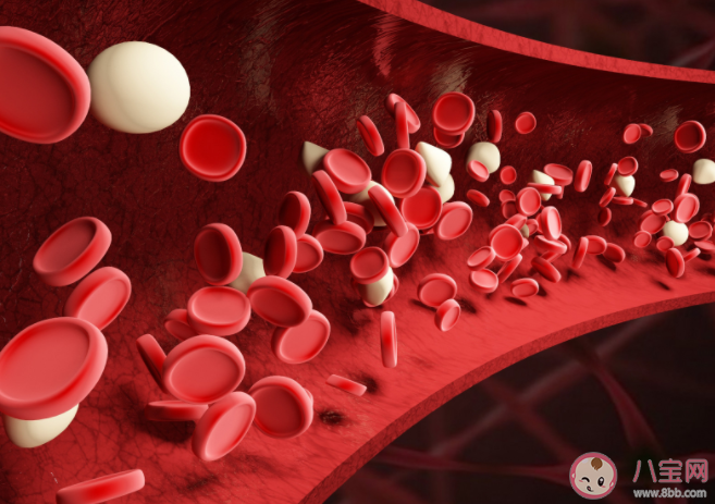 經常犯困是怎么回事 血液黏稠度高對人體有什么影響