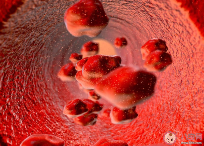 經常犯困是怎么回事 血液黏稠度高對人體有什么影響