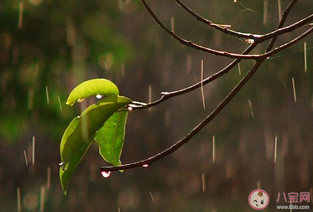 月亮眨眨眼睛我把你放在手心是什么歌 《小雨天氣》完整版歌詞在線聽歌