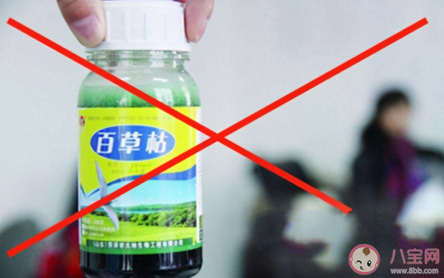 百草枯是如何致人死亡的 喝泥漿水能應(yīng)急中和毒性嗎