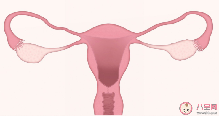 卵巢早衰分三級你在哪一級 卵巢早衰能夠逆轉嗎