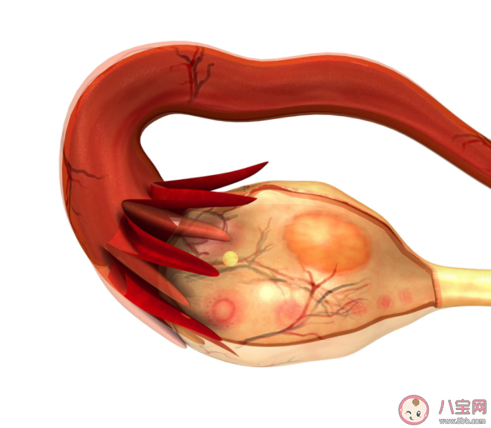 卵巢早衰分三級你在哪一級 卵巢早衰能夠逆轉嗎