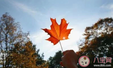 一夜之間我的城市就冷了朋友圈說說 一夜之間城市變冷的文案說說