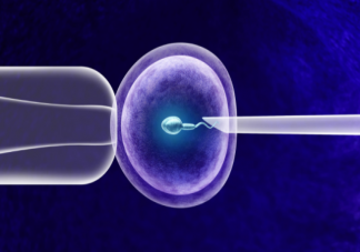 什么女性做試管會黃體不足 試管期間黃體不足怎么辦