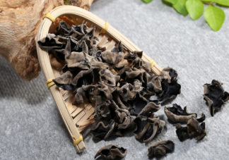 螞蟻莊園干木耳不用擔心保質期說法正確嗎 10月16正確答案解析