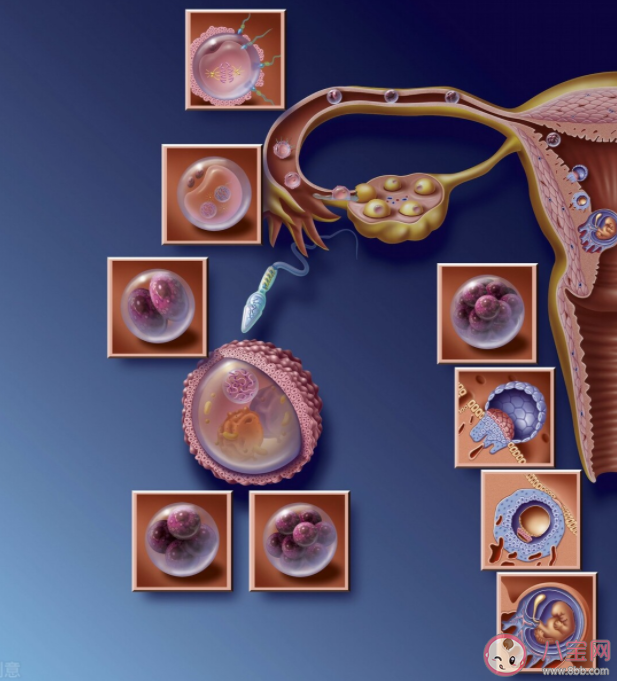 查出卵巢巧克力囊腫一定要手術嗎 卵巢巧克力囊腫對生育危害有多大 查出卵巢巧克力囊腫一定要手術嗎 卵巢巧克力囊腫對生育危害有多大
