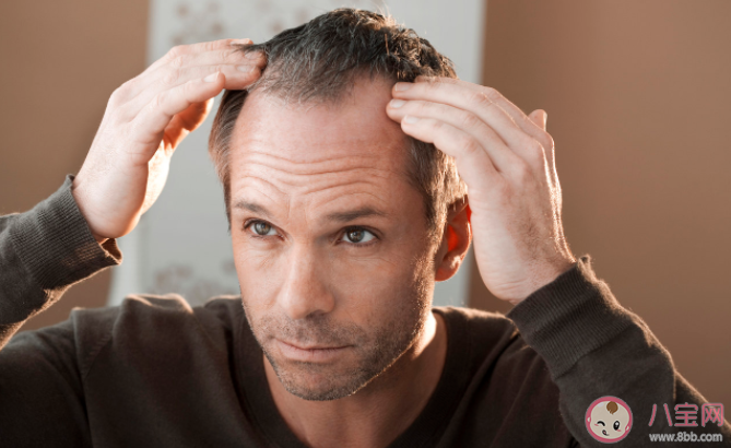 脫發和脾胃有關嗎 不同情況脫發如何應對預防