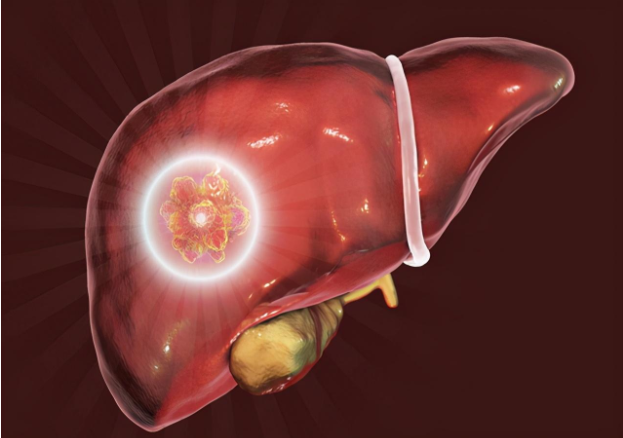 乙肝患者什么時候抗病毒好 乙肝抗病毒到什么程度才算好