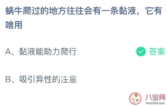 蝸牛爬過會有一條黏液有啥用 最新螞蟻莊園10月23日答案