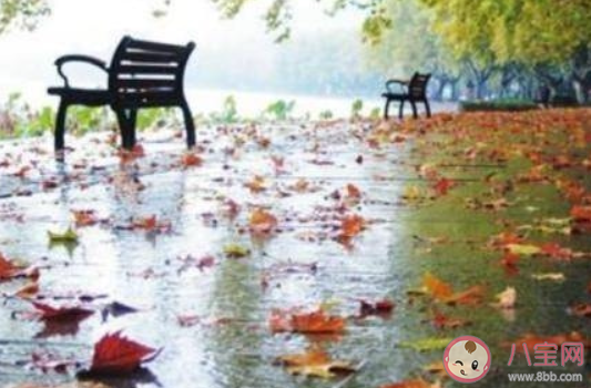 俗語一場秋雨一場寒有科學依據嗎 螞蟻莊園10月27日答案介紹