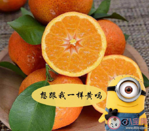 橘子一天最多吃幾個 橘子吃多了會怎樣