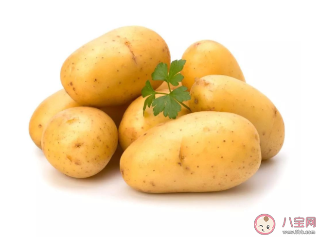 土豆和小米哪種糧食是明朝時從美洲傳入我國的 螞蟻莊園11月2日正確答案