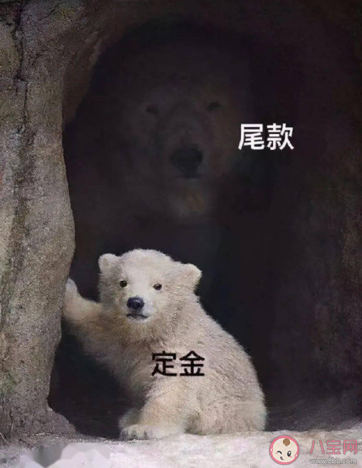 為什么付尾款總在半夜 雙十一付了定金后悔不想要了怎么辦
