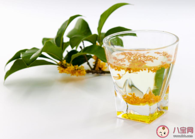 桂花茶喝了會不會失眠 喝桂花茶有什么功效作用