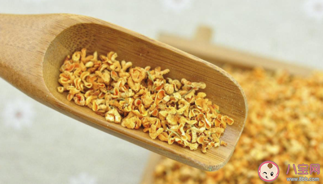 新鮮的桂花怎么做成桂花茶 桂花茶一次放多少桂花比較好