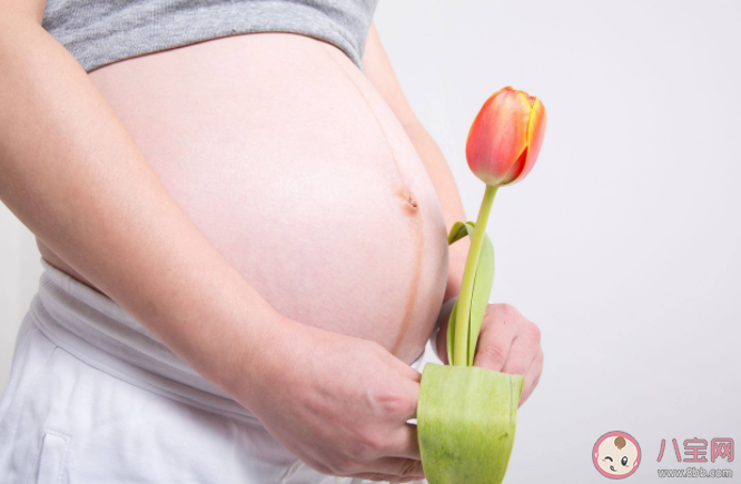 做一次試管嬰兒要花多少錢 試管嬰兒懷雙胎要滿足什么條件