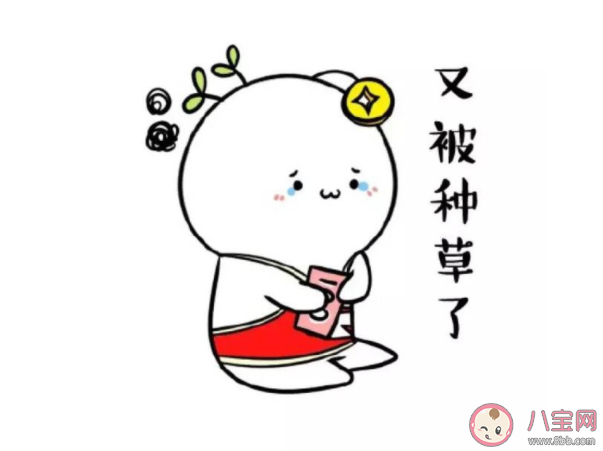 網(wǎng)絡(luò)種草什么產(chǎn)品更容易踩雷 ?種草怎么避坑