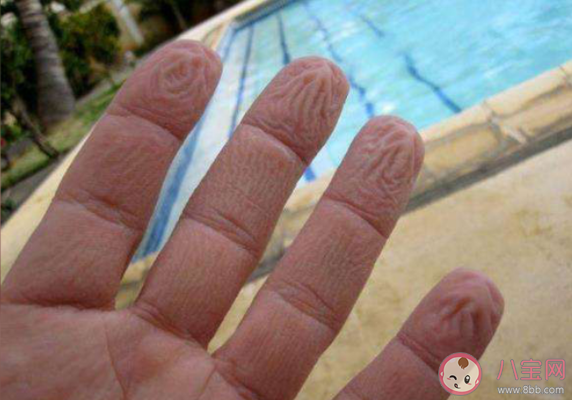 手指在水里泡久了為什么會變皺 為什么只是手指尖發皺