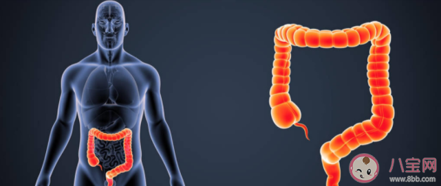 腸息肉都會(huì)癌變嗎 腸息肉的類型有哪些 腸息肉都會(huì)癌變嗎 腸息肉的類型有哪些