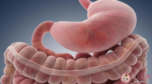 發現腸息肉就要切除嗎 得了腸息肉應該怎么辦 發現腸息肉就要切除嗎 得了腸息肉應該怎么辦