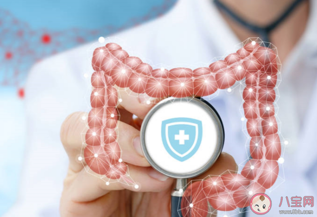 切除息肉疼不疼 腸息肉切除后怎么護理比較好 切除息肉疼不疼 腸息肉切除后怎么護理比較好