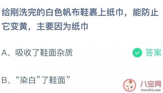 給白色帆布鞋裹上紙巾能防止它變黃主要因?yàn)榧埥?螞蟻莊園11月10日答案