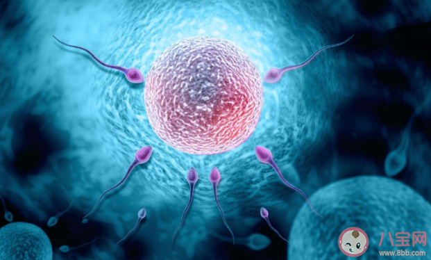 女性怎么知道自己正在排卵 女性排卵異常怎么辦