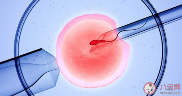 孩子是試管嬰兒要隱瞞嗎 試管嬰兒并非萬能