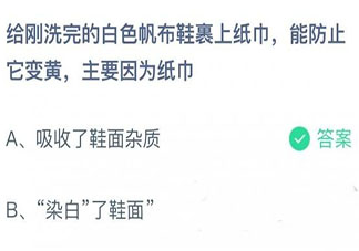 給白色帆布鞋裹上紙巾能防止它變黃主要因?yàn)榧埥?螞蟻莊園11月10日答案