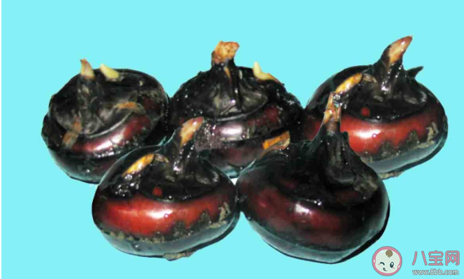 荸薺可以帶皮生吃嗎 適合秋冬食用的荸薺做法