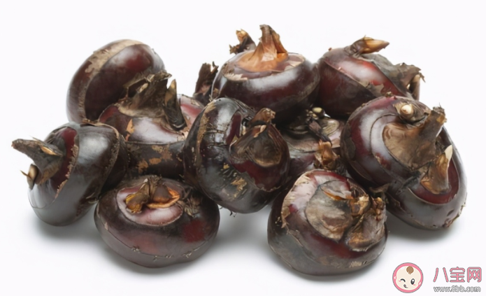 荸薺用鹽水泡能殺死寄生蟲嗎 荸薺的營養價值有哪些