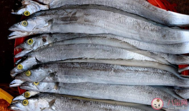 帶魚皮的顏色越白營養(yǎng)價值越高是真的嗎 買帶魚黑眼睛好還是黃眼睛好